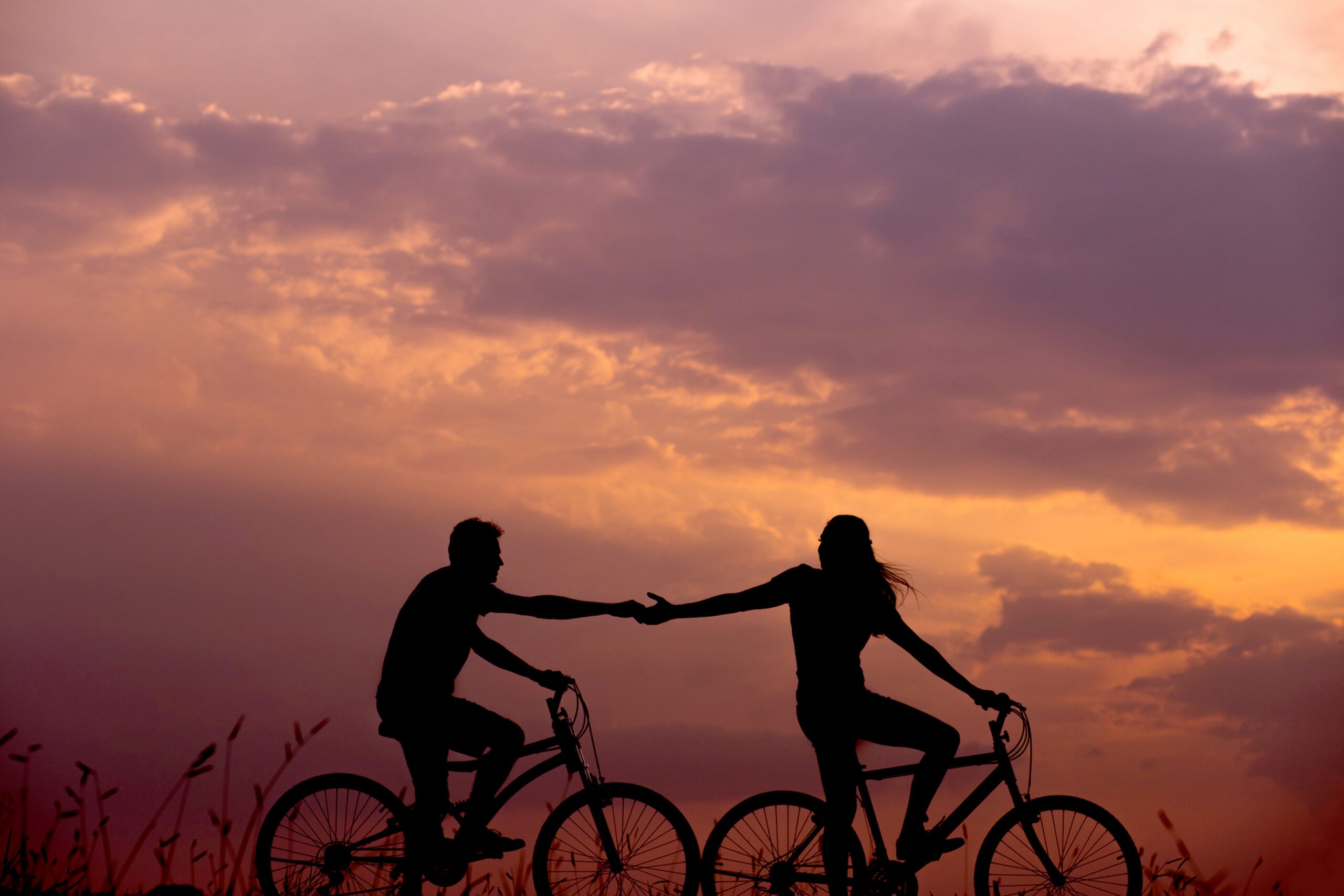 Displayed Relationships, a couple biking away from each other